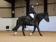 Image 151 in Unnamed Gallery