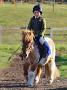 Image 153 in Unnamed Gallery