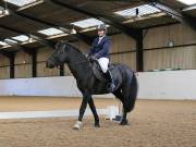 Image 154 in Unnamed Gallery