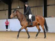 Image 161 in Unnamed Gallery