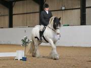 Image 174 in Unnamed Gallery