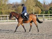 Image 175 in Unnamed Gallery