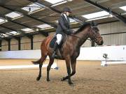 Image 193 in Unnamed Gallery