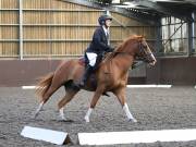 Image 73 in Unnamed Gallery