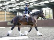 Image 76 in Unnamed Gallery