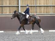 Image 80 in Unnamed Gallery