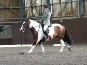 Image 81 in Unnamed Gallery