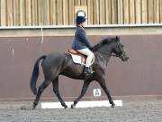 Image 82 in Unnamed Gallery