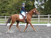 Image 86 in Unnamed Gallery