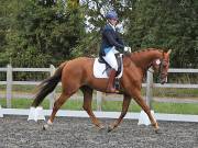 Image 89 in Unnamed Gallery