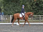 Image 90 in Unnamed Gallery