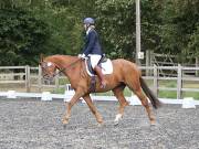 Image 95 in Unnamed Gallery