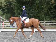 Image 96 in Unnamed Gallery