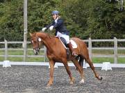 Image 98 in Unnamed Gallery