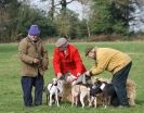 Image 1 in WHIPPET LURE COURSING