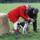 Image 2 in WHIPPET LURE COURSING