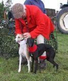 Image 23 in WHIPPET LURE COURSING