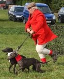 Image 24 in WHIPPET LURE COURSING