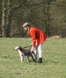 Image 5 in WHIPPET LURE COURSING