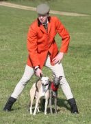 Image 6 in WHIPPET LURE COURSING