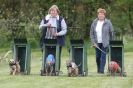 Image 37 in HARVEL 13 MAY 2012