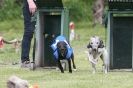 Image 39 in HARVEL 13 MAY 2012