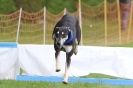Image 13 in SUSSEX LONGDOGS ( SOME HURDLING ) 6 MAY 2012.