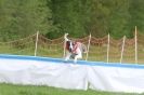 Image 14 in SUSSEX  LONGDOGS ( SOME  HURDLING )  6  MAY  2012.