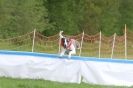 Image 14 in SUSSEX LONGDOGS ( SOME HURDLING ) 6 MAY 2012.