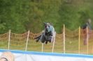 Image 18 in SUSSEX  LONGDOGS ( SOME  HURDLING )  6  MAY  2012.
