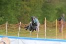 Image 18 in SUSSEX LONGDOGS ( SOME HURDLING ) 6 MAY 2012.