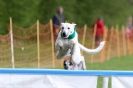 Image 2 in SUSSEX  LONGDOGS ( SOME  HURDLING )  6  MAY  2012.