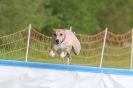 Image 3 in SUSSEX LONGDOGS ( SOME HURDLING ) 6 MAY 2012.