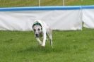 Image 35 in SUSSEX LONGDOGS ( SOME HURDLING ) 6 MAY 2012.