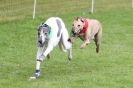 Image 41 in SUSSEX  LONGDOGS ( SOME  HURDLING )  6  MAY  2012.