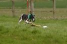 Image 45 in SUSSEX LONGDOGS ( SOME HURDLING ) 6 MAY 2012.