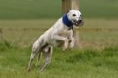 Image 46 in SUSSEX LONGDOGS ( SOME HURDLING ) 6 MAY 2012.