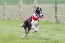 Image 50 in SUSSEX LONGDOGS ( SOME HURDLING ) 6 MAY 2012.