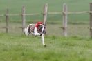 Image 54 in SUSSEX  LONGDOGS ( SOME  HURDLING )  6  MAY  2012.