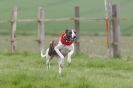 Image 55 in SUSSEX LONGDOGS ( SOME HURDLING ) 6 MAY 2012.