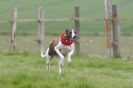 Image 55 in SUSSEX  LONGDOGS ( SOME  HURDLING )  6  MAY  2012.