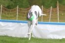 Image 6 in SUSSEX LONGDOGS ( SOME HURDLING ) 6 MAY 2012.