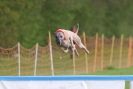 Image 60 in SUSSEX LONGDOGS ( SOME HURDLING ) 6 MAY 2012.