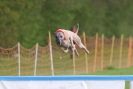 Image 60 in SUSSEX  LONGDOGS ( SOME  HURDLING )  6  MAY  2012.