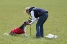 Image 15 in B S F A APRIL 2012 THE SALUKIS. OH! AND ONE PHAROAH HOUND,