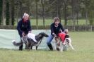 BSFA  22  APRIL  2012     SOME  BORZOI PICTURES