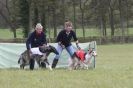 Image 13 in BSFA 22 APRIL 2012 SOME BORZOI PICTURES