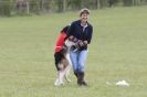 Image 16 in BSFA 22 APRIL 2012 SOME BORZOI PICTURES