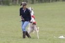 Image 17 in BSFA 22 APRIL 2012 SOME BORZOI PICTURES