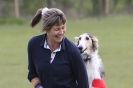 Image 23 in BSFA 22 APRIL 2012 SOME BORZOI PICTURES